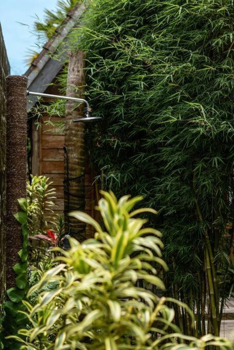 The Padang Villa Jungle Escape 5 Mins Drive From Uluwatu'S Beaches Ngoại thất bức ảnh